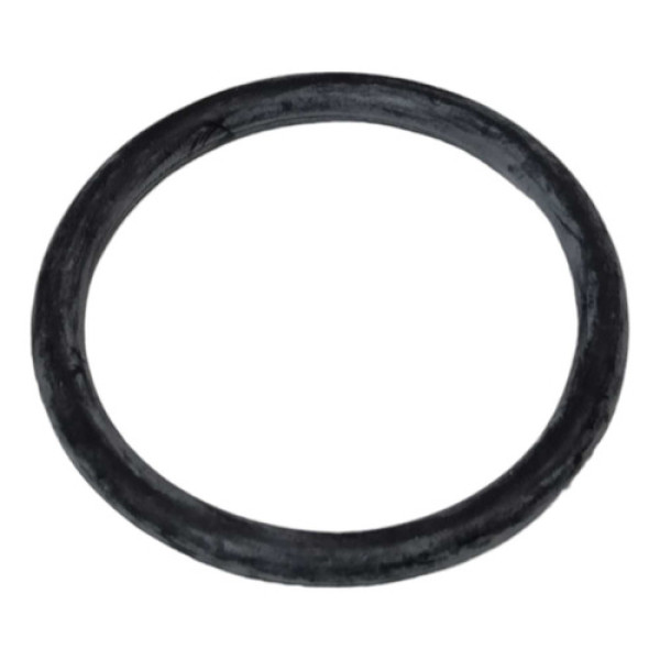 Anel Vedação Tubo Escapamento Fiat Toro 2016... Cx266