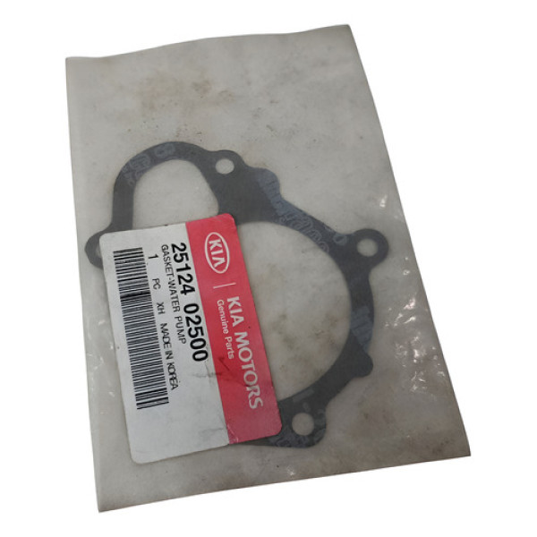 Junta Bomba Agua Kia Picanto Gasolina 2512402500