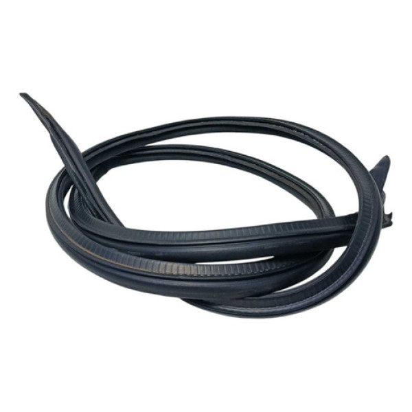 Borracha Pingadeira Teto Esquerdo Clio 2000 À 2006