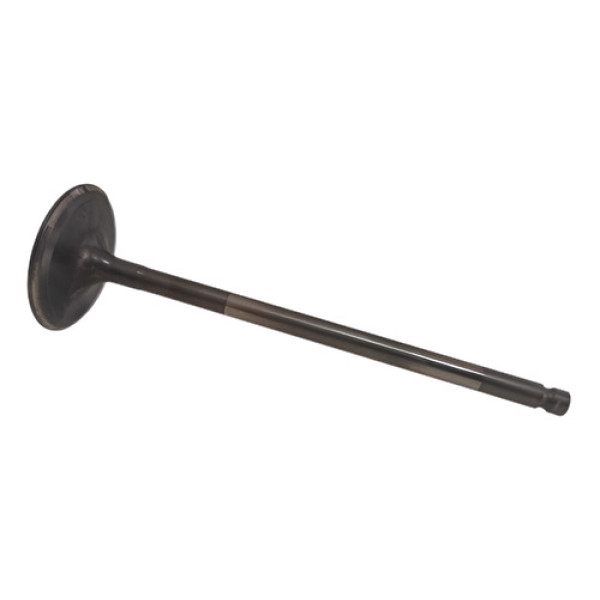 Válvula Admissão Cabeçote Renault Oroch 1.6 16v Cx291