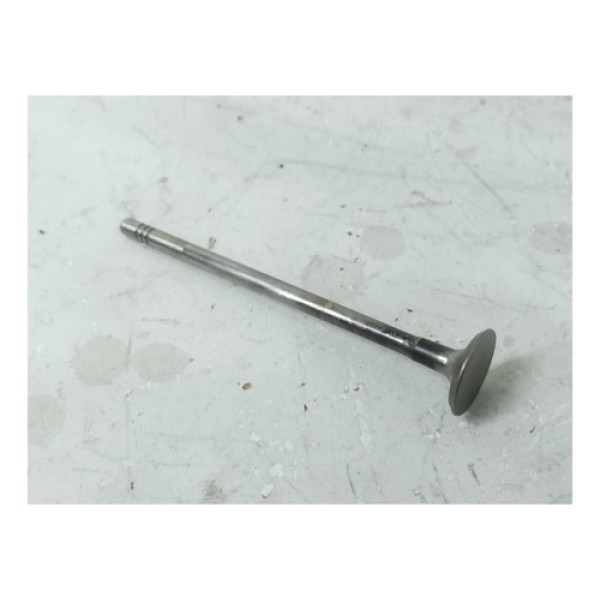 Valvula Escape Cabeçote Clio 1.0 16v Flex Cx160