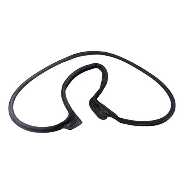 Borracha Porta Traseira Esquerda Gm Onix 2019 