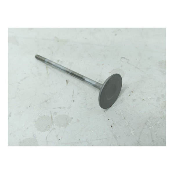 Válvula Admissão Fiat Fire Uno Palio Siena 1.0 8v Cx148