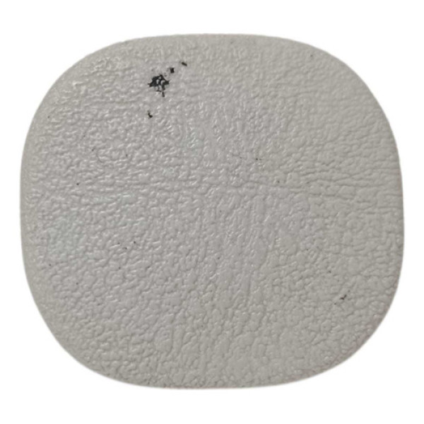 Grampo Forro Teto Clio 2p 2006