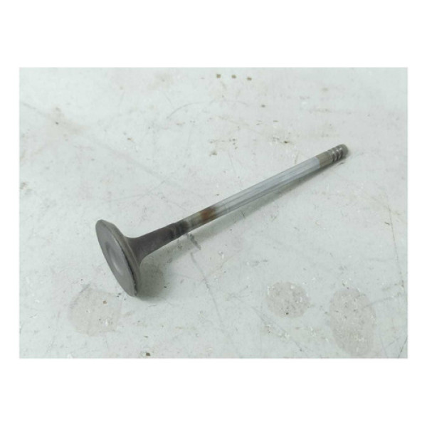 Válvula Escape Fiat Fire Uno Palio Siena 1.0 8v Cx148