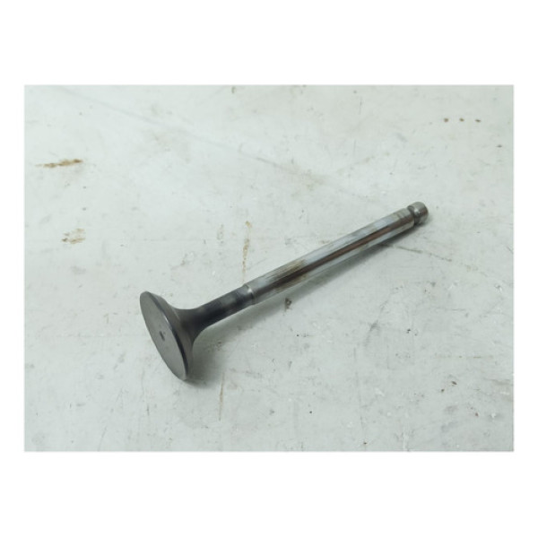 Válvula Escape Fiat Motor Fiasa 1.3 1.5 Cx131